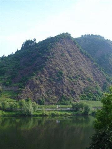 Appartement Haus Mosella Cochem