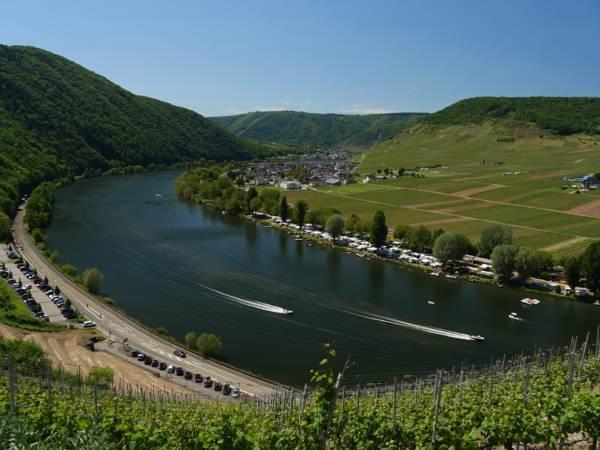 Appartement Haus Mosella Cochem